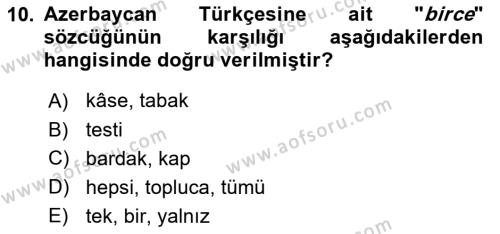 Çağdaş Türk Yazı Dilleri 1 Dersi 2023 - 2024 Yılı Yaz Okulu Sınavı 10. Soru