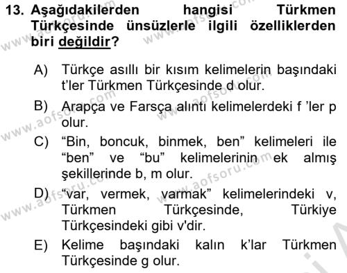 Çağdaş Türk Yazı Dilleri 1 Dersi 2023 - 2024 Yılı Yaz Okulu Sınavı 13. Soru