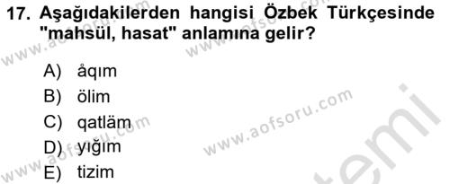 Çağdaş Türk Yazı Dilleri 1 Dersi 2023 - 2024 Yılı Yaz Okulu Sınavı 17. Soru