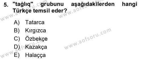 Çağdaş Türk Yazı Dilleri 1 Dersi 2023 - 2024 Yılı Yaz Okulu Sınavı 5. Soru