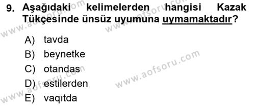 Çağdaş Türk Yazı Dilleri 2 Dersi 2015 - 2016 Yılı Tek Ders Sınavı 9. Soru