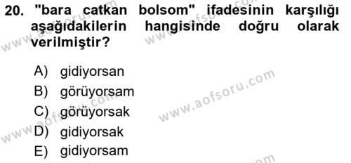 Çağdaş Türk Yazı Dilleri 2 Dersi 2016 - 2017 Yılı 3 Ders Sınavı 20. Soru