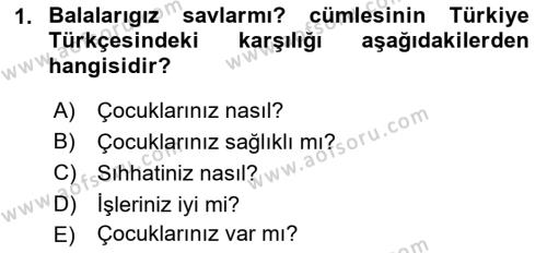 Çağdaş Türk Yazı Dilleri 2 Dersi 2016 - 2017 Yılı (Final) Dönem Sonu Sınavı 1. Soru