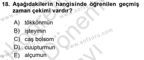 Çağdaş Türk Yazı Dilleri 2 Dersi 2016 - 2017 Yılı (Final) Dönem Sonu Sınavı 18. Soru