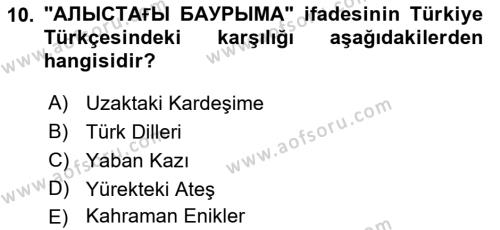 Çağdaş Türk Yazı Dilleri 2 Dersi 2017 - 2018 Yılı 3 Ders Sınavı 10. Soru