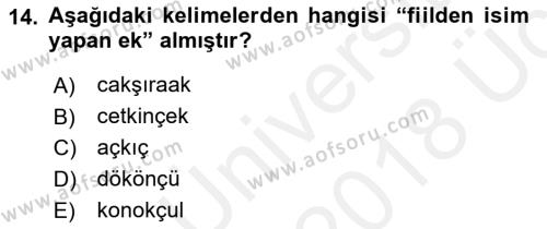 Çağdaş Türk Yazı Dilleri 2 Dersi 2017 - 2018 Yılı 3 Ders Sınavı 14. Soru