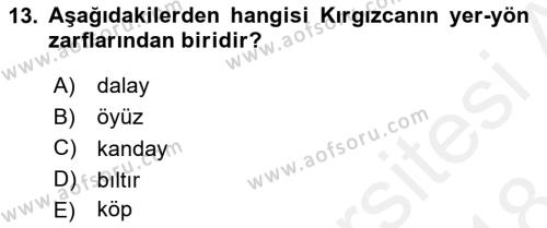 Çağdaş Türk Yazı Dilleri 2 Dersi 2017 - 2018 Yılı (Final) Dönem Sonu Sınavı 13. Soru