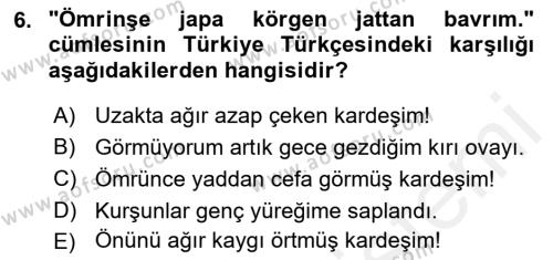 Çağdaş Türk Yazı Dilleri 2 Dersi 2017 - 2018 Yılı (Final) Dönem Sonu Sınavı 6. Soru