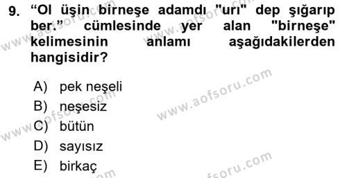 Çağdaş Türk Yazı Dilleri 2 Dersi 2017 - 2018 Yılı (Final) Dönem Sonu Sınavı 9. Soru