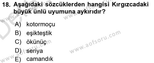 Çağdaş Türk Yazı Dilleri 2 Dersi 2018 - 2019 Yılı 3 Ders Sınavı 18. Soru