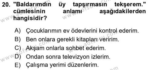 Çağdaş Türk Yazı Dilleri 2 Dersi 2018 - 2019 Yılı 3 Ders Sınavı 20. Soru