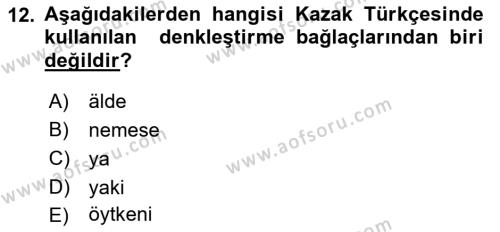 Çağdaş Türk Yazı Dilleri 2 Dersi 2018 - 2019 Yılı (Final) Dönem Sonu Sınavı 12. Soru