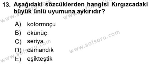 Çağdaş Türk Yazı Dilleri 2 Dersi 2018 - 2019 Yılı (Final) Dönem Sonu Sınavı 13. Soru