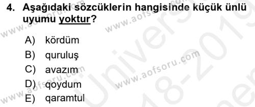 Çağdaş Türk Yazı Dilleri 2 Dersi 2018 - 2019 Yılı (Final) Dönem Sonu Sınavı 4. Soru