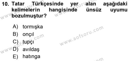 Çağdaş Türk Yazı Dilleri 2 Dersi 2018 - 2019 Yılı Yaz Okulu Sınavı 10. Soru