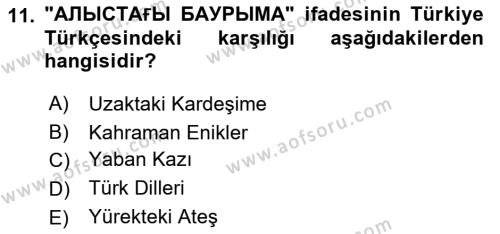 Çağdaş Türk Yazı Dilleri 2 Dersi 2018 - 2019 Yılı Yaz Okulu Sınavı 11. Soru