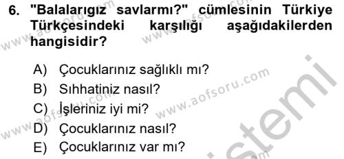 Çağdaş Türk Yazı Dilleri 2 Dersi 2018 - 2019 Yılı Yaz Okulu Sınavı 6. Soru