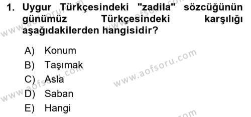 Çağdaş Türk Yazı Dilleri 2 Dersi 2020 - 2021 Yılı Yaz Okulu Sınavı 1. Soru