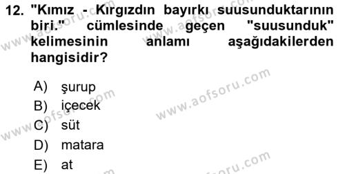 Çağdaş Türk Yazı Dilleri 2 Dersi 2020 - 2021 Yılı Yaz Okulu Sınavı 12. Soru