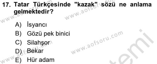 Çağdaş Türk Yazı Dilleri 2 Dersi 2020 - 2021 Yılı Yaz Okulu Sınavı 17. Soru