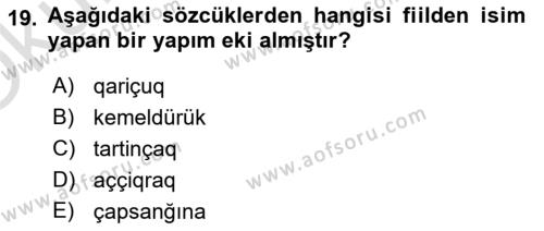 Çağdaş Türk Yazı Dilleri 2 Dersi 2020 - 2021 Yılı Yaz Okulu Sınavı 19. Soru