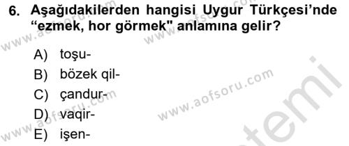 Çağdaş Türk Yazı Dilleri 2 Dersi 2021 - 2022 Yılı (Vize) Ara Sınavı 6. Soru