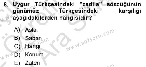 Çağdaş Türk Yazı Dilleri 2 Dersi 2021 - 2022 Yılı (Vize) Ara Sınavı 8. Soru