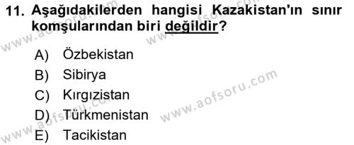 Çağdaş Türk Yazı Dilleri 2 Dersi 2021 - 2022 Yılı (Final) Dönem Sonu Sınavı 11. Soru