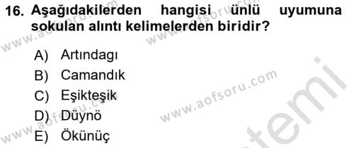 Çağdaş Türk Yazı Dilleri 2 Dersi 2021 - 2022 Yılı (Final) Dönem Sonu Sınavı 16. Soru