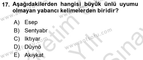 Çağdaş Türk Yazı Dilleri 2 Dersi 2021 - 2022 Yılı (Final) Dönem Sonu Sınavı 17. Soru