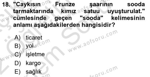 Çağdaş Türk Yazı Dilleri 2 Dersi 2021 - 2022 Yılı (Final) Dönem Sonu Sınavı 18. Soru