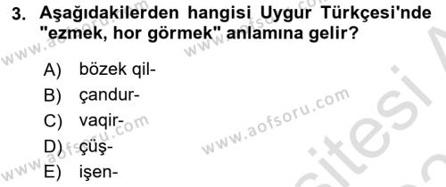 Çağdaş Türk Yazı Dilleri 2 Dersi 2021 - 2022 Yılı (Final) Dönem Sonu Sınavı 3. Soru