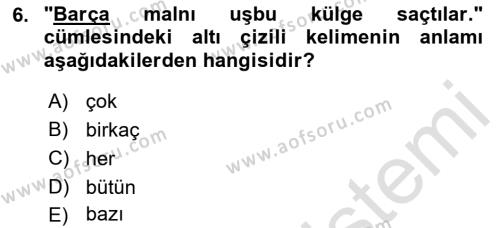 Çağdaş Türk Yazı Dilleri 2 Dersi 2021 - 2022 Yılı (Final) Dönem Sonu Sınavı 6. Soru