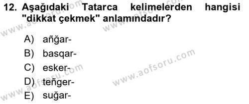 Çağdaş Türk Yazı Dilleri 2 Dersi 2021 - 2022 Yılı Yaz Okulu Sınavı 12. Soru