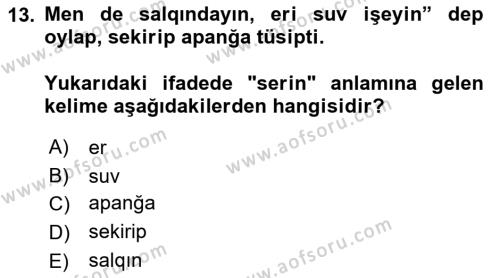 Çağdaş Türk Yazı Dilleri 2 Dersi 2021 - 2022 Yılı Yaz Okulu Sınavı 13. Soru