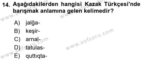 Çağdaş Türk Yazı Dilleri 2 Dersi 2021 - 2022 Yılı Yaz Okulu Sınavı 14. Soru