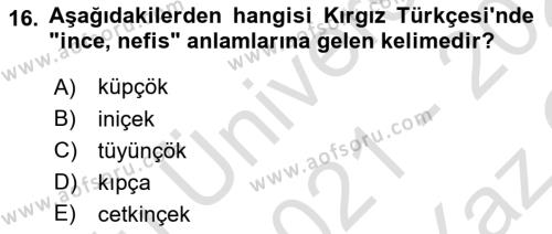 Çağdaş Türk Yazı Dilleri 2 Dersi 2021 - 2022 Yılı Yaz Okulu Sınavı 16. Soru