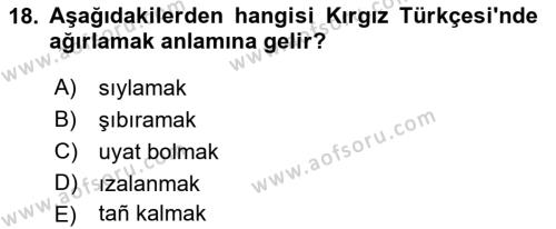 Çağdaş Türk Yazı Dilleri 2 Dersi 2021 - 2022 Yılı Yaz Okulu Sınavı 18. Soru