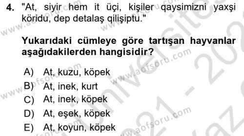 Çağdaş Türk Yazı Dilleri 2 Dersi 2021 - 2022 Yılı Yaz Okulu Sınavı 4. Soru