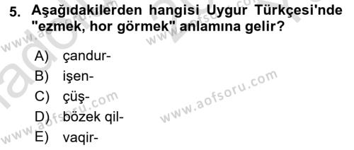 Çağdaş Türk Yazı Dilleri 2 Dersi 2021 - 2022 Yılı Yaz Okulu Sınavı 5. Soru