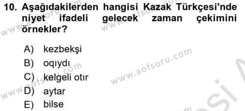 Çağdaş Türk Yazı Dilleri 2 Dersi 2022 - 2023 Yılı Yaz Okulu Sınavı 10. Soru