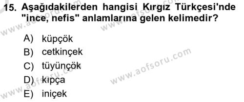 Çağdaş Türk Yazı Dilleri 2 Dersi 2022 - 2023 Yılı Yaz Okulu Sınavı 15. Soru