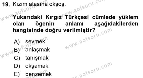 Çağdaş Türk Yazı Dilleri 2 Dersi 2022 - 2023 Yılı Yaz Okulu Sınavı 19. Soru