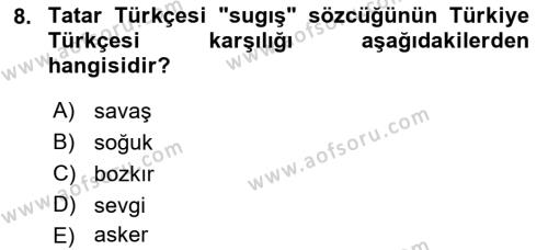 Çağdaş Türk Yazı Dilleri 2 Dersi 2022 - 2023 Yılı Yaz Okulu Sınavı 8. Soru