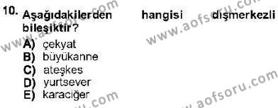 Genel Dilbilim 1 Dersi 2012 - 2013 Yılı (Vize) Ara Sınavı 10. Soru