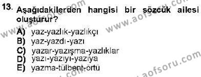 Genel Dilbilim 1 Dersi 2012 - 2013 Yılı (Vize) Ara Sınavı 13. Soru