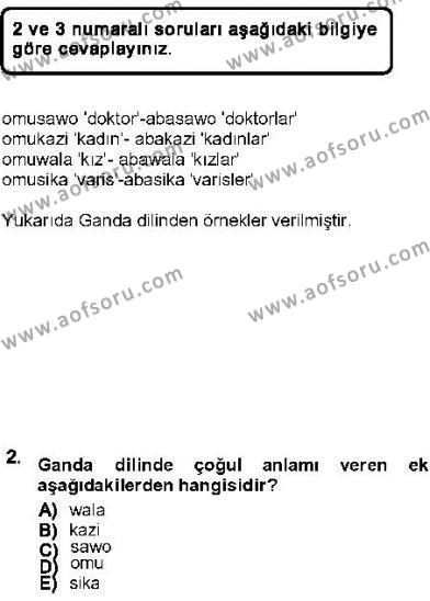 Genel Dilbilim 1 Dersi 2012 - 2013 Yılı (Vize) Ara Sınavı 2. Soru