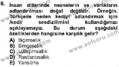 Genel Dilbilim 1 Dersi 2012 - 2013 Yılı (Vize) Ara Sınavı 6. Soru