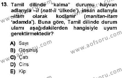 Genel Dilbilim 1 Dersi 2012 - 2013 Yılı (Final) Dönem Sonu Sınavı 13. Soru