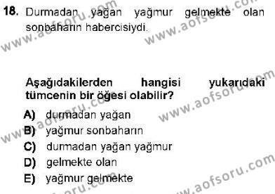 Genel Dilbilim 1 Dersi 2012 - 2013 Yılı (Final) Dönem Sonu Sınavı 18. Soru